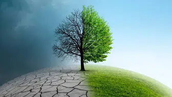 Sigorta Sektörü İklim Değişikliğiyle Mücadelede Dayanıklılık Sağlıyor