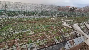TARSİM'in Yeni Prim Oranları Açıklandı
