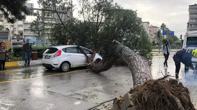 Kasko Sigortası Alırken Hangi Şirketi Tercih Etmelisiniz?