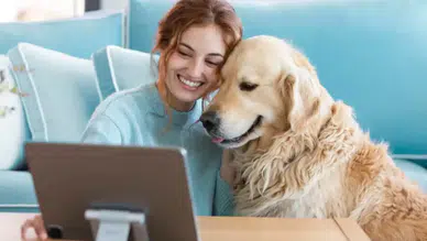 Evcil Hayvan Sigortası Pazarı, 27 Milyar Dolara Yükseliyor!