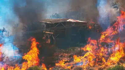 İzmir Orman Yangını Mağdurlarına BES'ten Kısmi Ödeme İmkanı Sağlandı