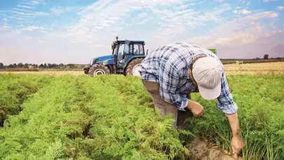 TARSİM'de Tarım Sigortası Prim Oranları Açıklandı!