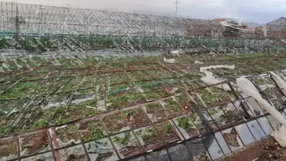 TARSİM'in Yeni Prim Oranları Açıklandı