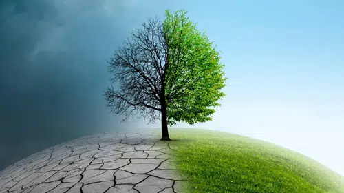 Sigorta Sektörü İklim Değişikliğiyle Mücadelede Dayanıklılık Sağlıyor