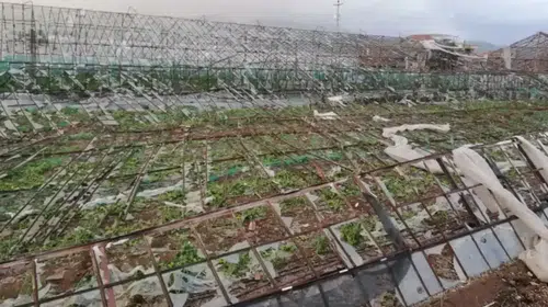 TARSİM'in Yeni Prim Oranları Açıklandı