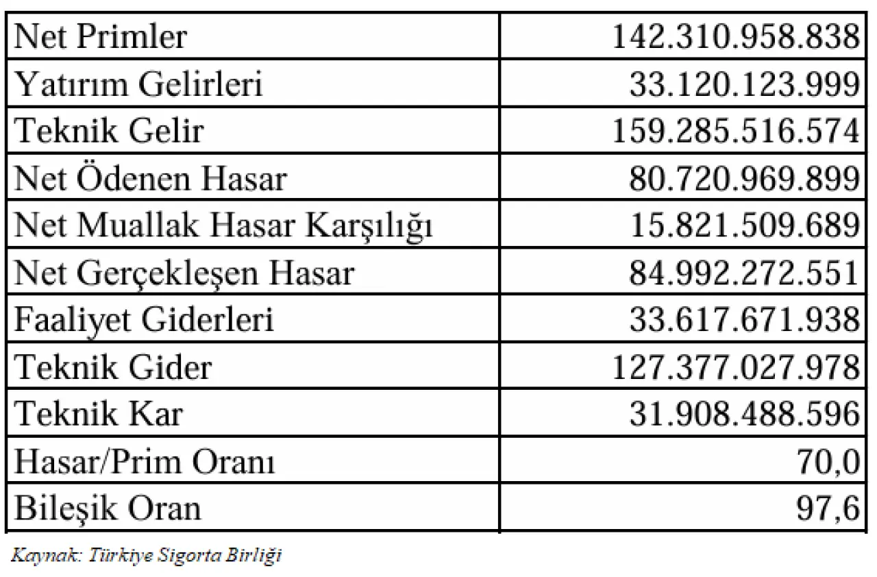 Kasko Üzerine Çarpıcı Analiz